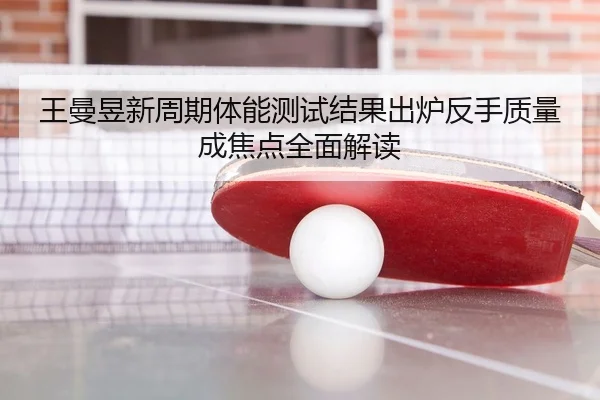 王曼昱新周期体能测试结果出炉反手质量成焦点全面解读