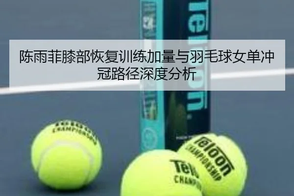 陈雨菲膝部恢复训练加量与羽毛球女单冲冠路径深度分析